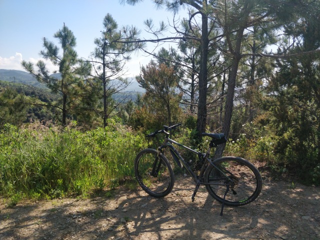 On a 'biking' trail, that required carrying the bike half the time IMG_20250429_111729