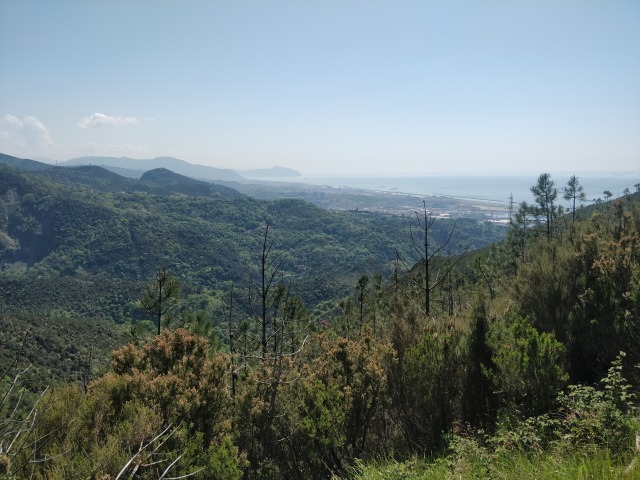 Mare e monte IMG_20250429_114420