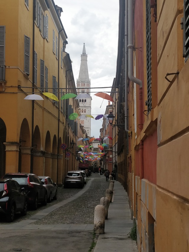 IMG_20250505_102305
