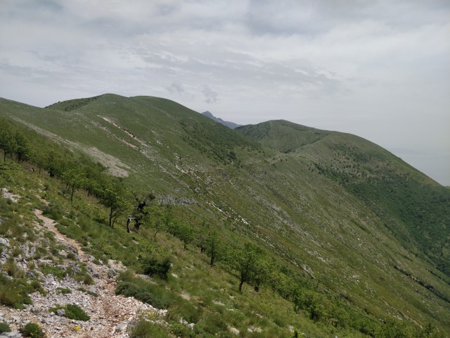 IMG_20250524_131318