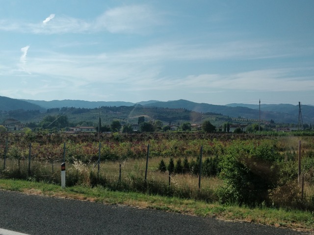 Driving through Tuscana towards the west coast was a treat IMG_20250701_180222