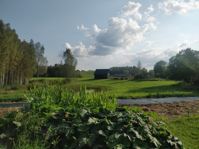 The farm, with their new house in the distance IMG_20250907_162506