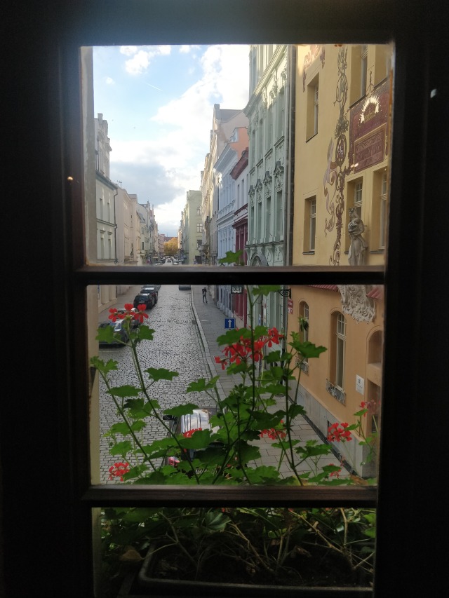 One of the many cute little cobbled streets of Plzeň IMG_20251013_164933